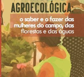 Caderneta agroecológica: o saber e o fazer das mulheres do campo das florestas e das águas